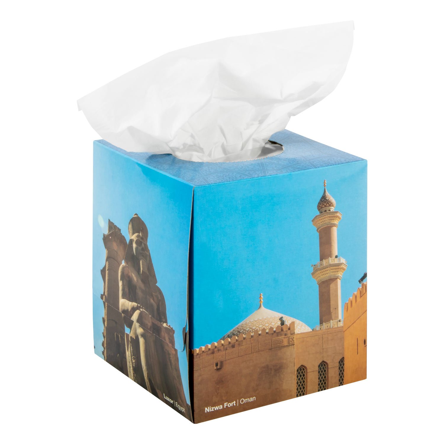 Teqler Tissue Box